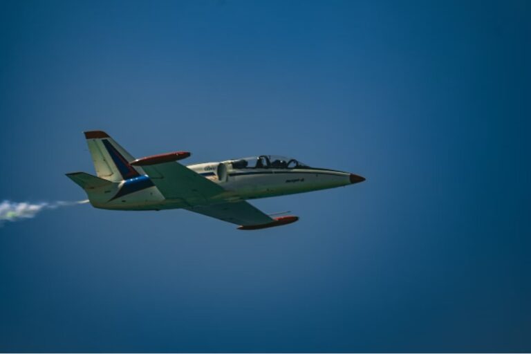Exploring Flight Sim Photography: Capturing the Perfect Virtual Shot